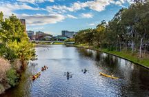 Adelaide kayak tour with expert instructors
