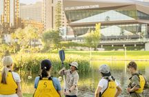 Adelaide kayak tour with expert instructors