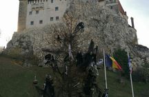 Libearty Bear Sanctuary and Bran Castle private full-day tour