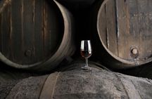 Seville Bodegas Góngora classic tour with tasting experience