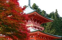 Enryaku-ji, Ōmihachiman and Kyorinbō guided day trip