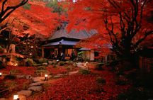 Enryaku-ji, Ōmihachiman and Kyorinbō guided day trip