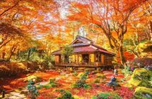 Enryaku-ji, Ōmihachiman and Kyorinbō guided day trip