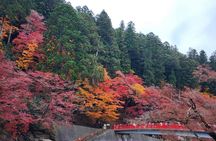 Eihōji and Kōrankei guided day tour