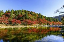 Eihōji and Kōrankei guided day tour