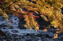 Eihōji and Kōrankei guided day tour