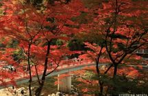 Eihōji and Kōrankei guided day tour