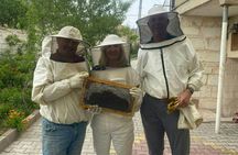 Beekeeping experience and honey tasting in Cappadocia