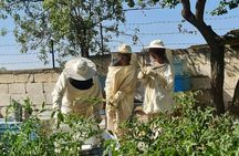 Beekeeping experience and honey tasting in Cappadocia
