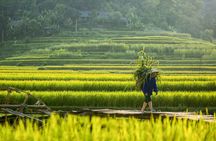 Full day excursion to Pu Luong with pick-up from Hanoi