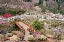 Atami Plum Garden and Shuzenji Onsen guided autumn tour