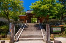 Atami Plum Garden and Shuzenji Onsen guided autumn tour