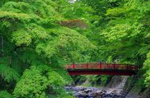 Atami Plum Garden and Shuzenji Onsen guided autumn tour