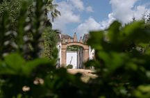 Seville Bodegas Góngora premium tour with tasting experience