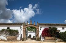 Seville Bodegas Góngora premium tour with tasting experience
