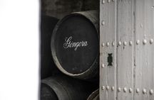 Seville Bodegas Góngora sensory tour with tasting experience