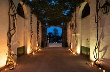 Premium sensory wine tour