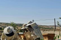 Beekeeping experience and honey tasting in Cappadocia
