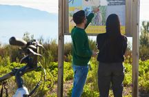 E-bike on Vesuvius among volcanic landscapes