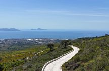 E-bike on Vesuvius among volcanic landscapes