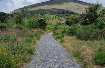 E-bike ride with Vesuvian vineyards and wine tasting
