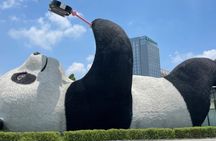 Dujiangyan half- day tour and blue tears night view