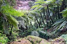 Leshan Giant Buddha private tour and Jurassic expedition