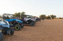 Agadir to Massa full-day buggy adventure with lunch