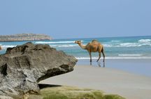 Full-day west Salalah wonders