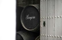 Seville Bodegas Góngora classic tour with tasting experience