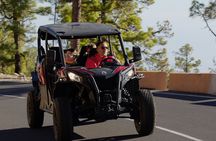 Teide National Park guided tour by buggy