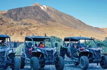 Teide National Park guided tour by buggy
