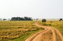 Nyerere National Park two-day safari with two game drives