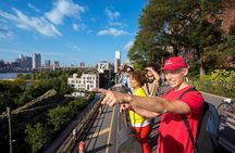 New York Brooklyn Bridge and DUMBO food-tasting guided tour