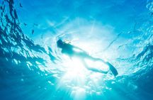 Snorkeling tour in Salalah
