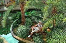 Saigon luxury and snapshots walking tour in Thao Dien