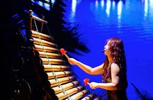 CHAO show entrance tickets with optional walking tour