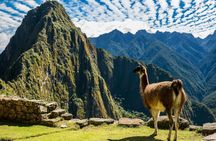 Guided tour of Machu Picchu citadel including entrance