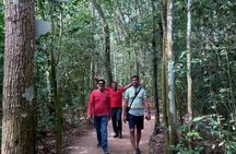 Cu Chi Tunnels half-day tour from Ho Chi Minh City