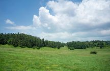 Wulong private tour with Three Natural Bridges and Fairy Mountain