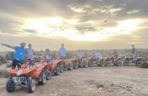 2-hour quad tour with pick-up and soft drink