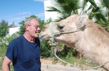 Half-day Hammamet countryside caravan with traditional bread tasting