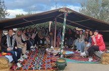 Half-day Hammamet countryside caravan with traditional bread tasting