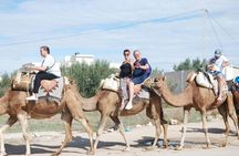 Full-day caravan and quad adventure with traditional lunch experience