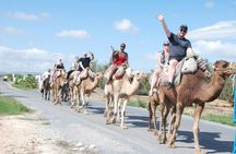 Full-day caravan and quad adventure with traditional lunch experience