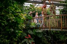 Daily ticket to Mainau Island, a genuine family utopia