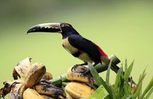 Three-day Sarapiqui jungle adventure and river raft tour