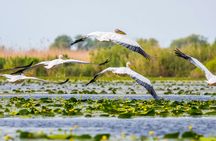 Escape to the Danube Delta tour