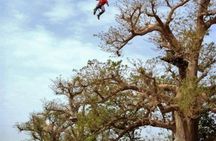 Accrobaobab adventure from Sarene