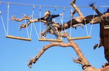 Accrobaobab adventure from Somone